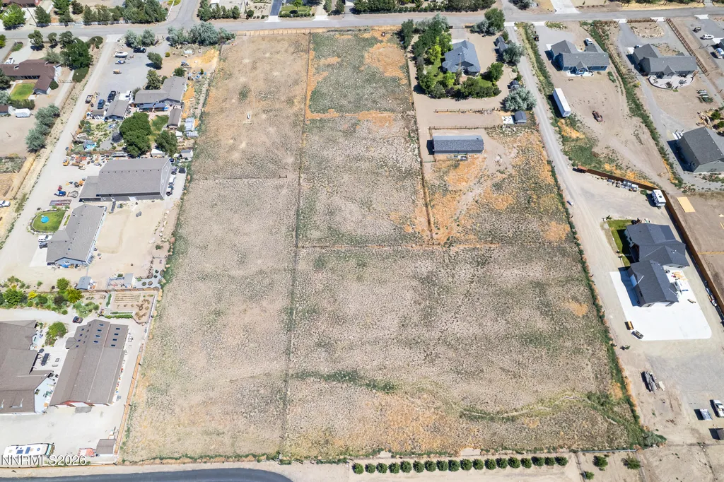1917 Arabian Gardnerville NV 89410