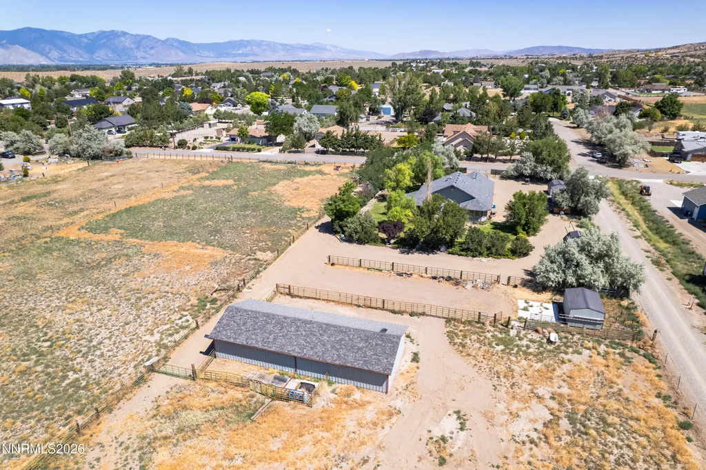 1917 Arabian Gardnerville NV 89410