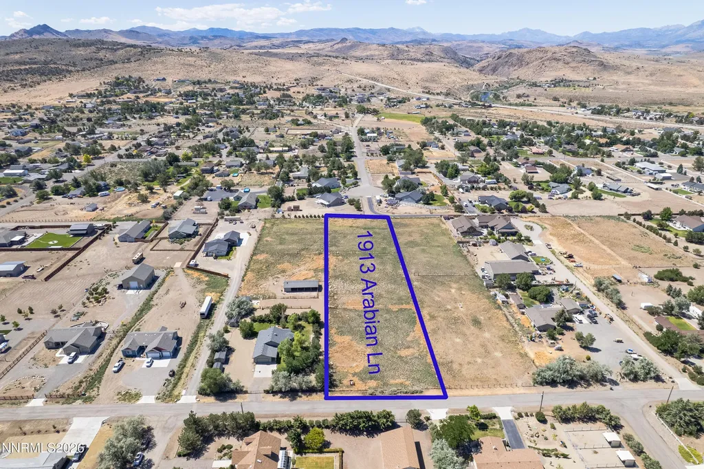 1913 Arabian Gardnerville NV 89410