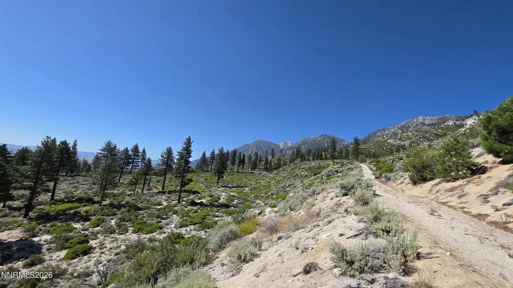 Tbd Kingsbury Grade Kingsbury Grade Gardnerville NV 89460