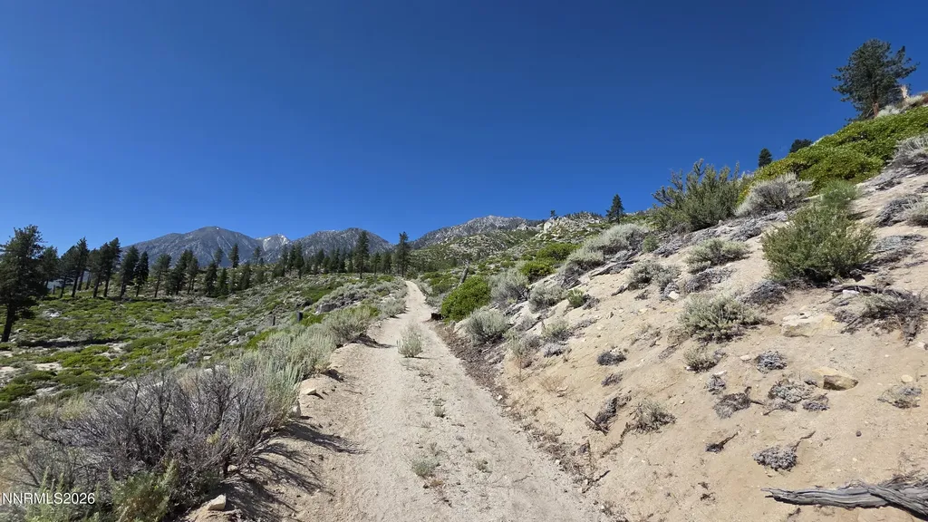 Tbd Kingsbury Grade Kingsbury Grade Gardnerville NV 89460