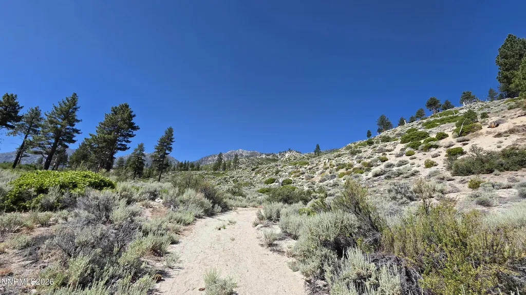 Tbd Kingsbury Grade Kingsbury Grade Gardnerville NV 89460