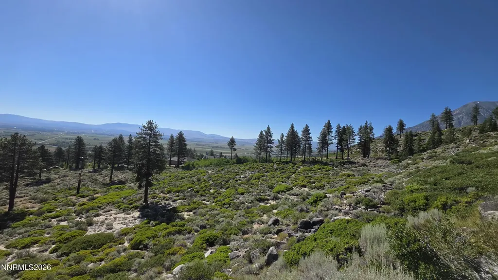 Tbd Kingsbury Grade Kingsbury Grade Gardnerville NV 89460
