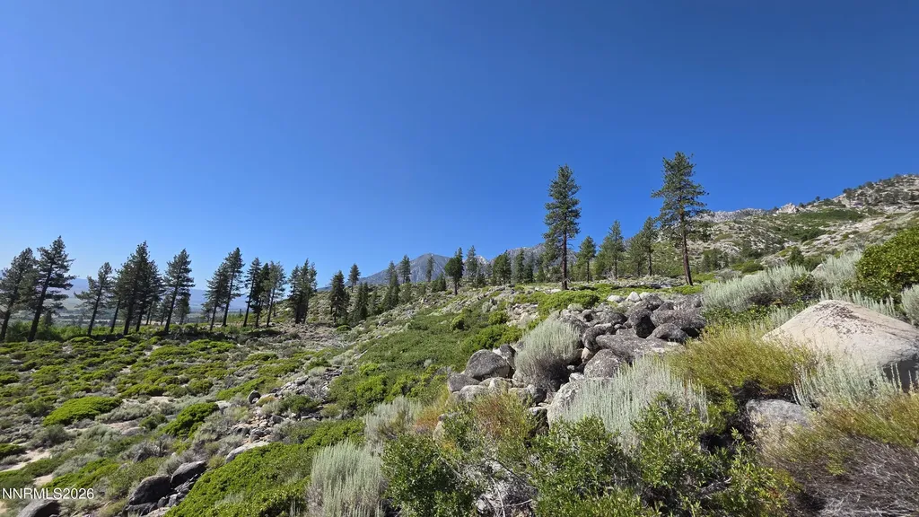 Tbd Kingsbury Grade Kingsbury Grade Gardnerville NV 89460