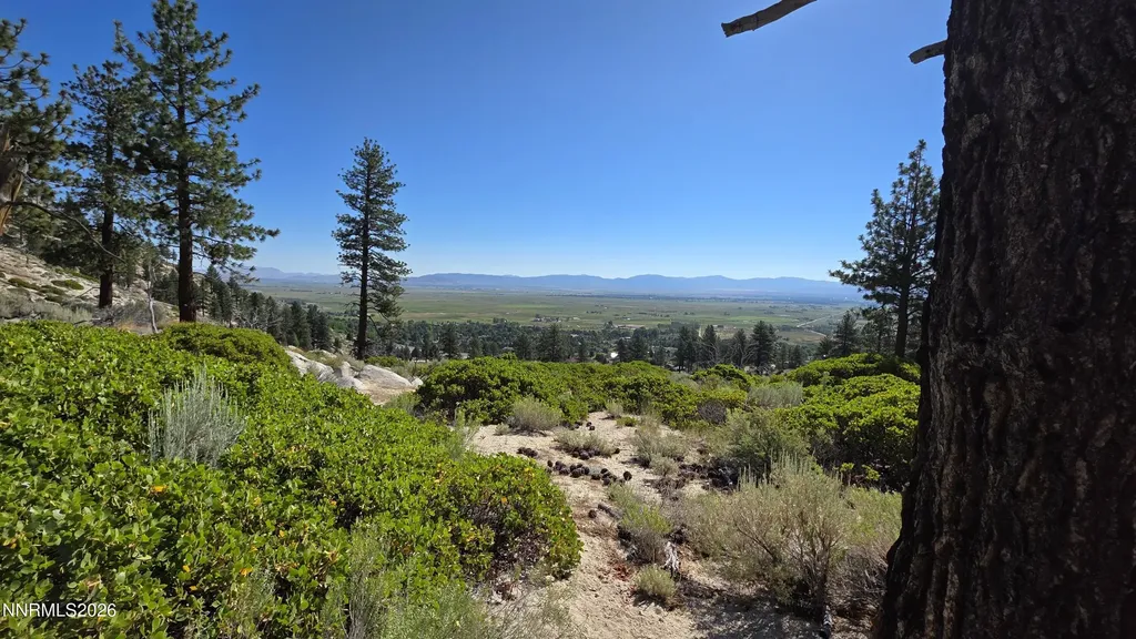 Tbd Kingsbury Grade Kingsbury Grade Gardnerville NV 89460