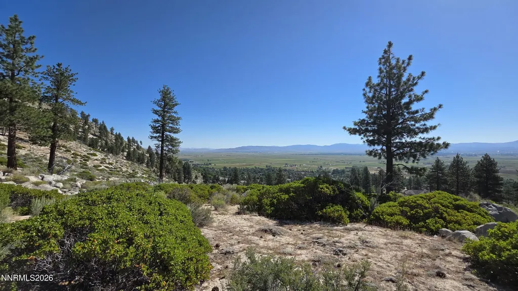 Tbd Kingsbury Grade Kingsbury Grade Gardnerville NV 89460
