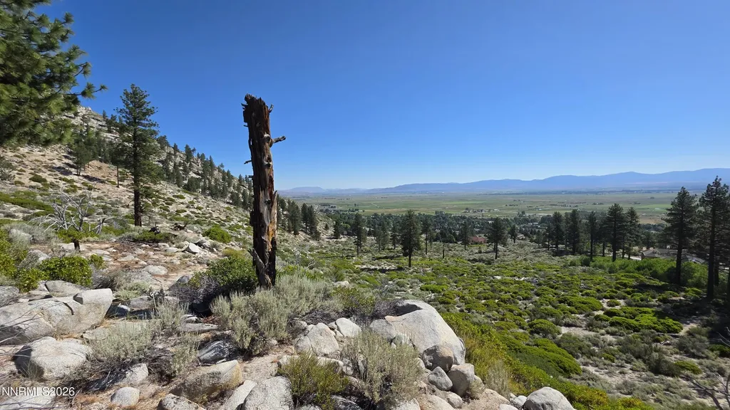 Tbd Kingsbury Grade Kingsbury Grade Gardnerville NV 89460