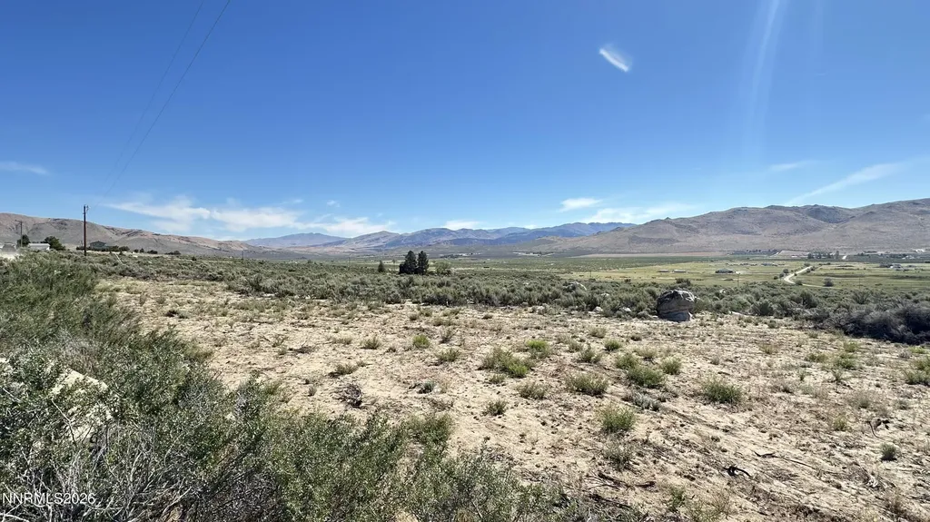 20 Quarter Horse Reno NV 89508