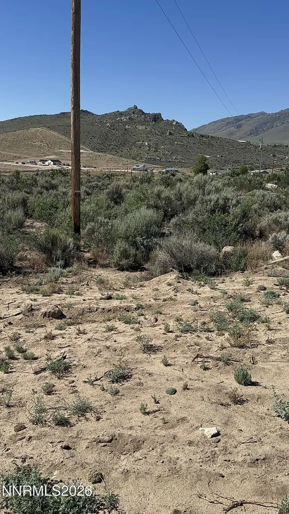 20 Quarter Horse Reno NV 89508