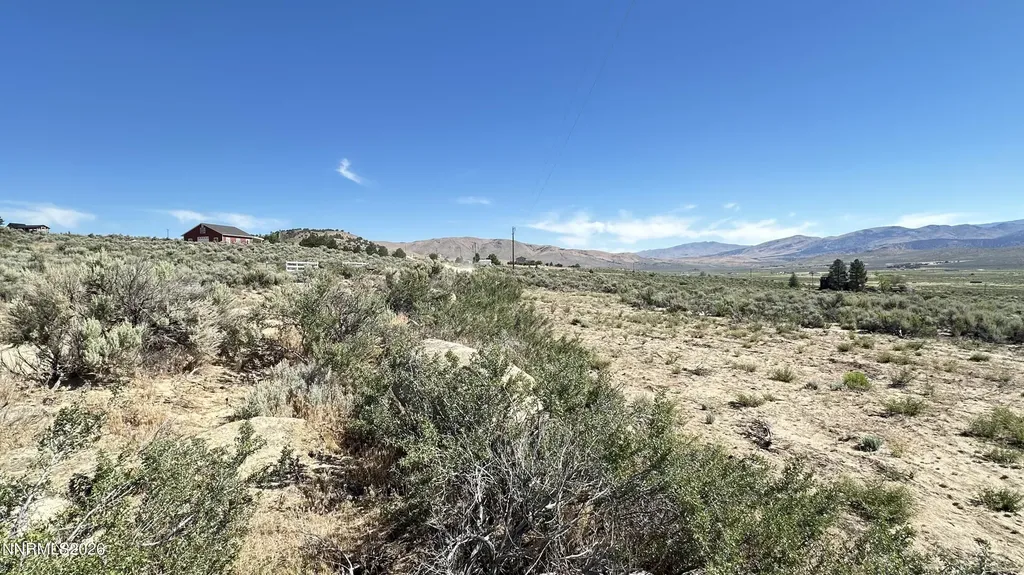 20 Quarter Horse Reno NV 89508