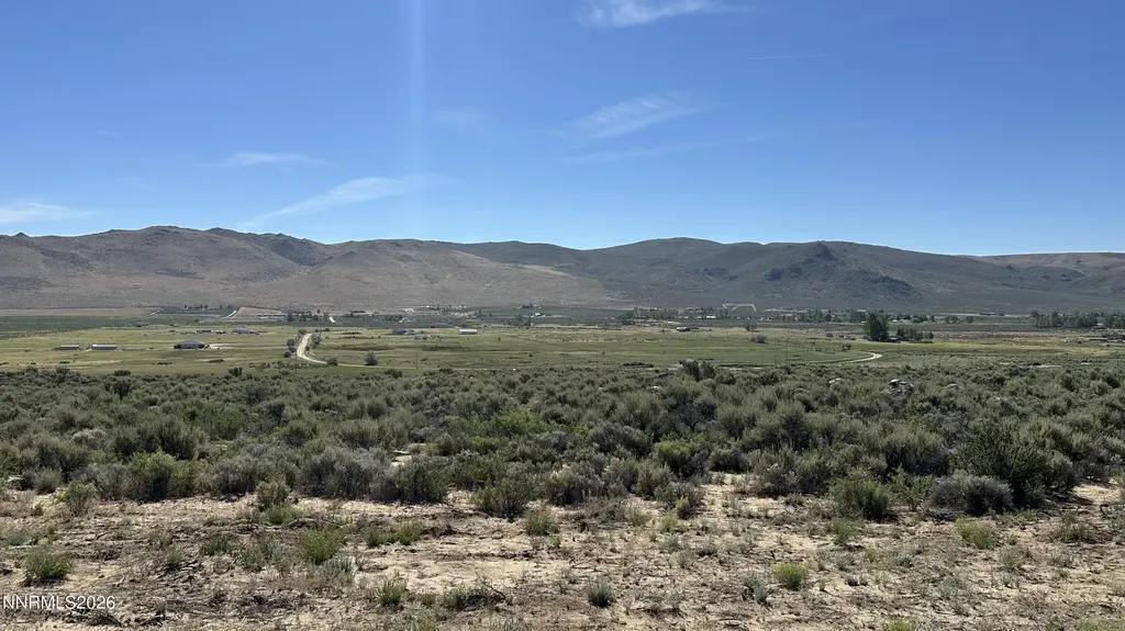 20 Quarter Horse Reno NV 89508
