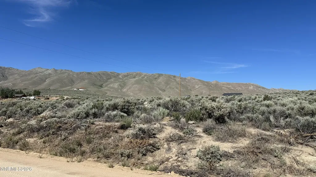 20 Quarter Horse Reno NV 89508