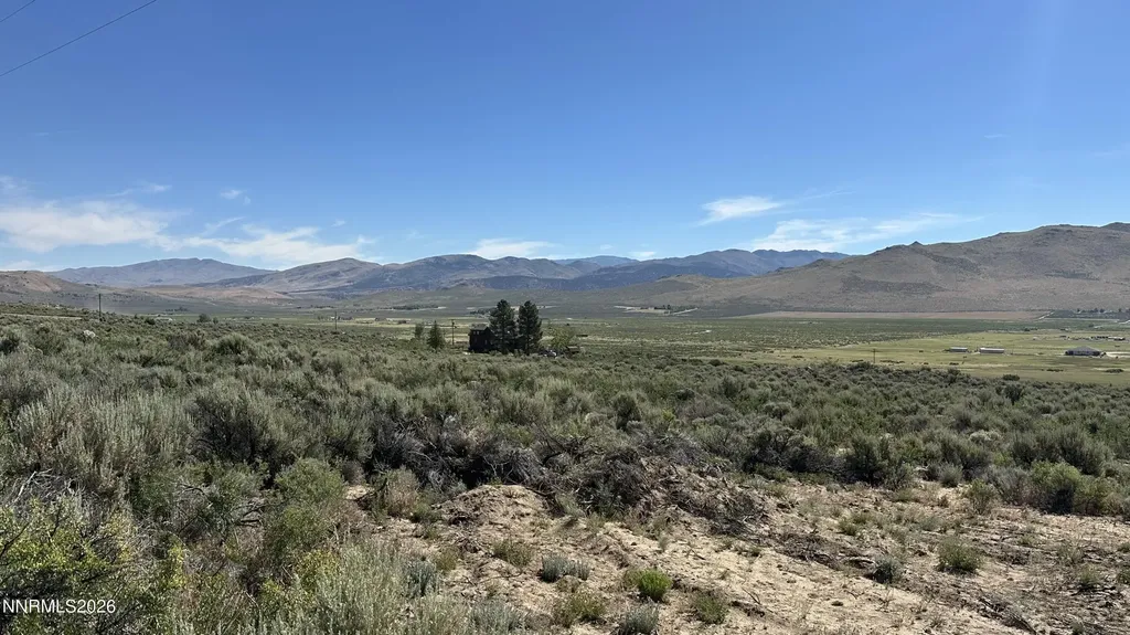 20 Quarter Horse Reno NV 89508