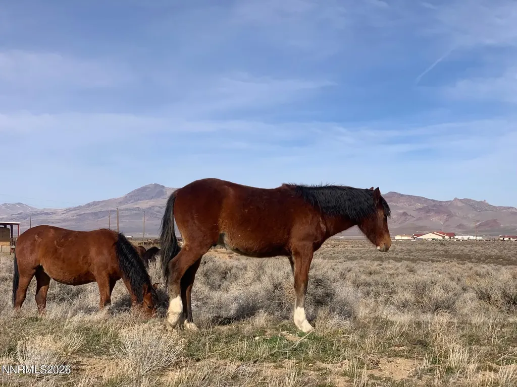 19 Wells Fargo Dayton NV 89403