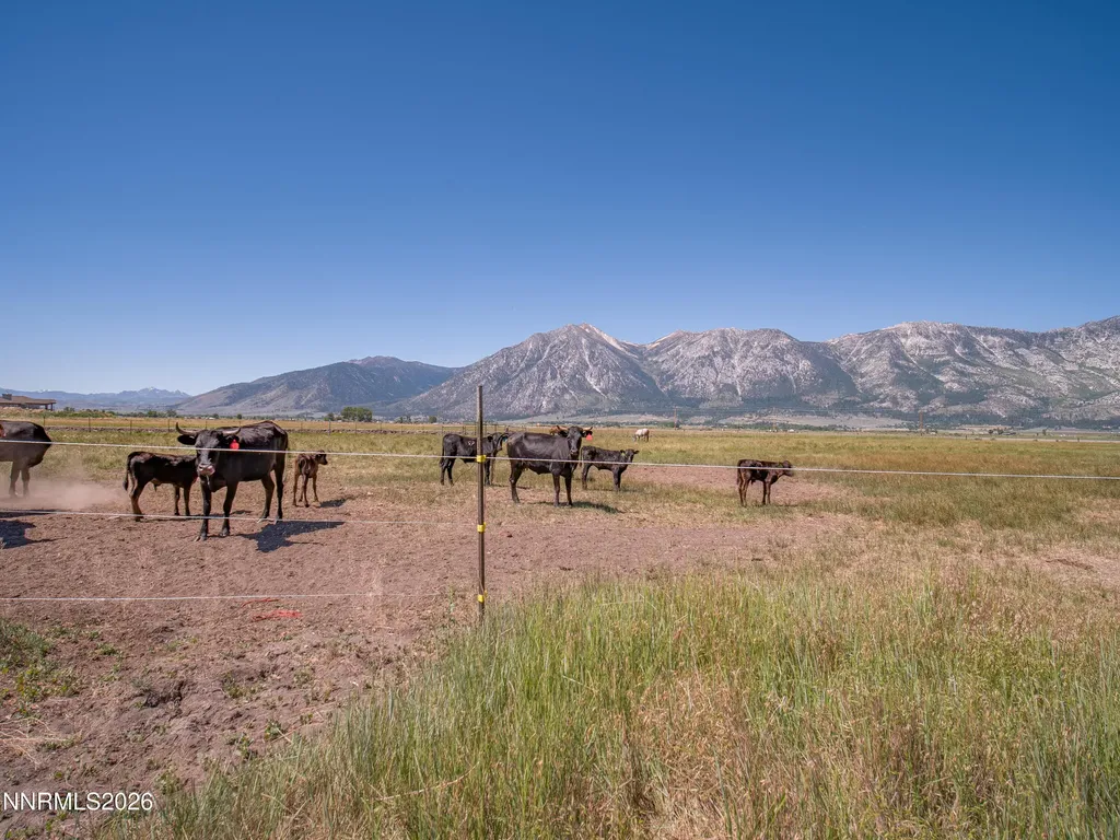 1225 Highway 88 Gardnerville NV 89460