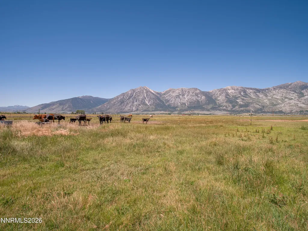 1225 Highway 88 Gardnerville NV 89460