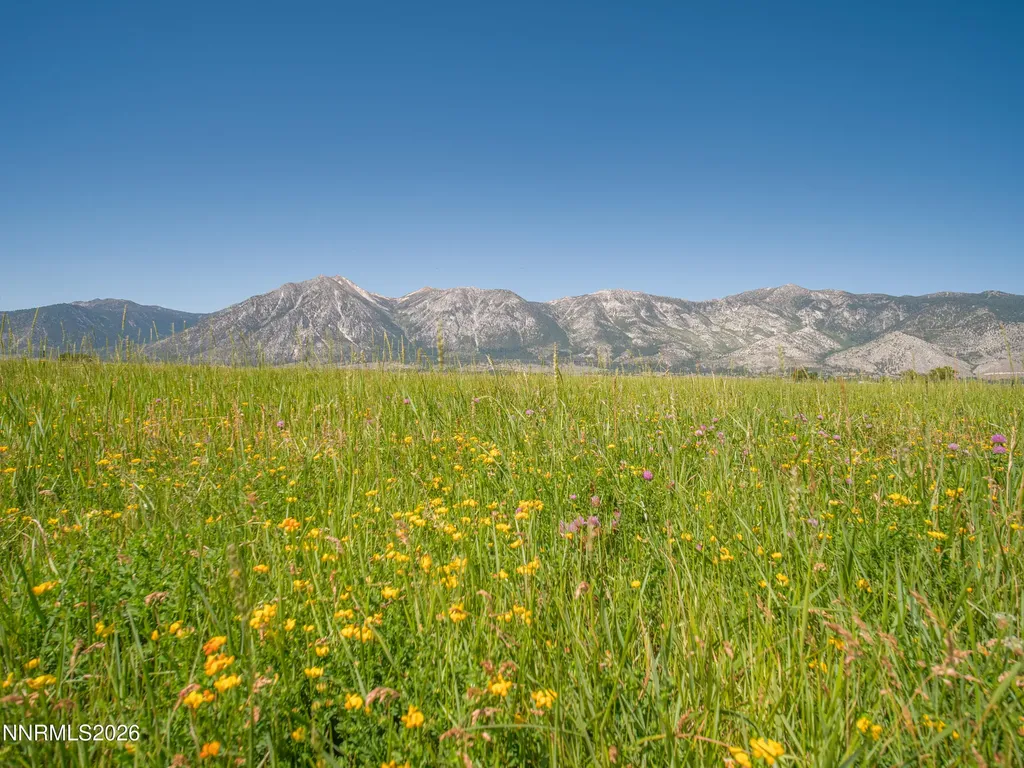 1225 Highway 88 Gardnerville NV 89460