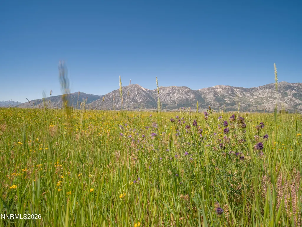 1225 Highway 88 Gardnerville NV 89460