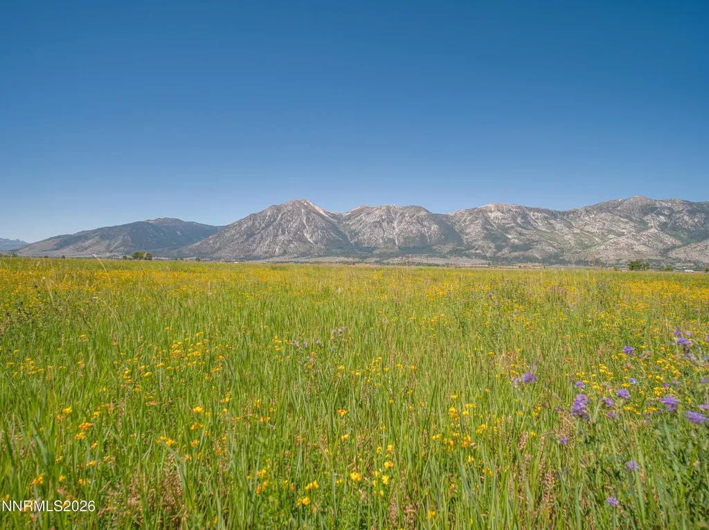 1225 Highway 88 Gardnerville NV 89460