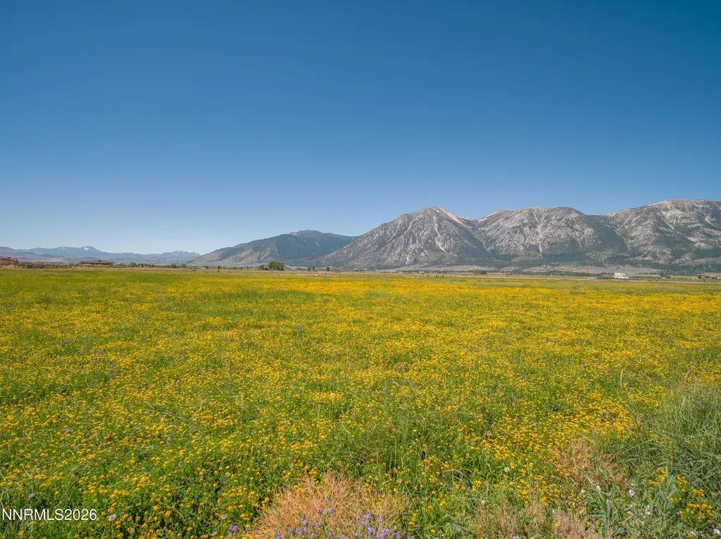 1225 Highway 88 Gardnerville NV 89460
