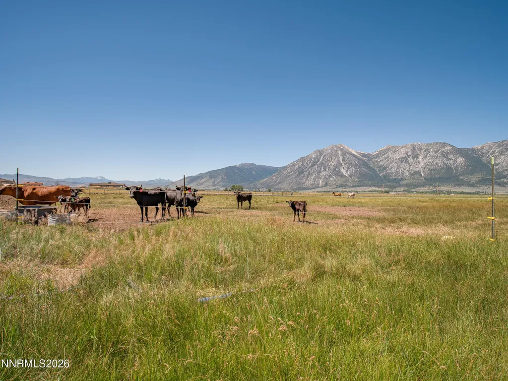 1225 Highway 88 Gardnerville NV 89460