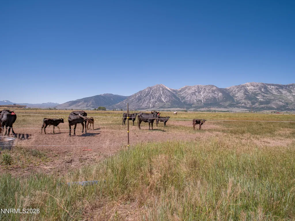 1225 Highway 88 Gardnerville NV 89460