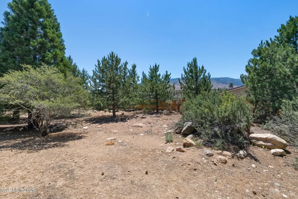960 Buckbrush Verdi NV 89439