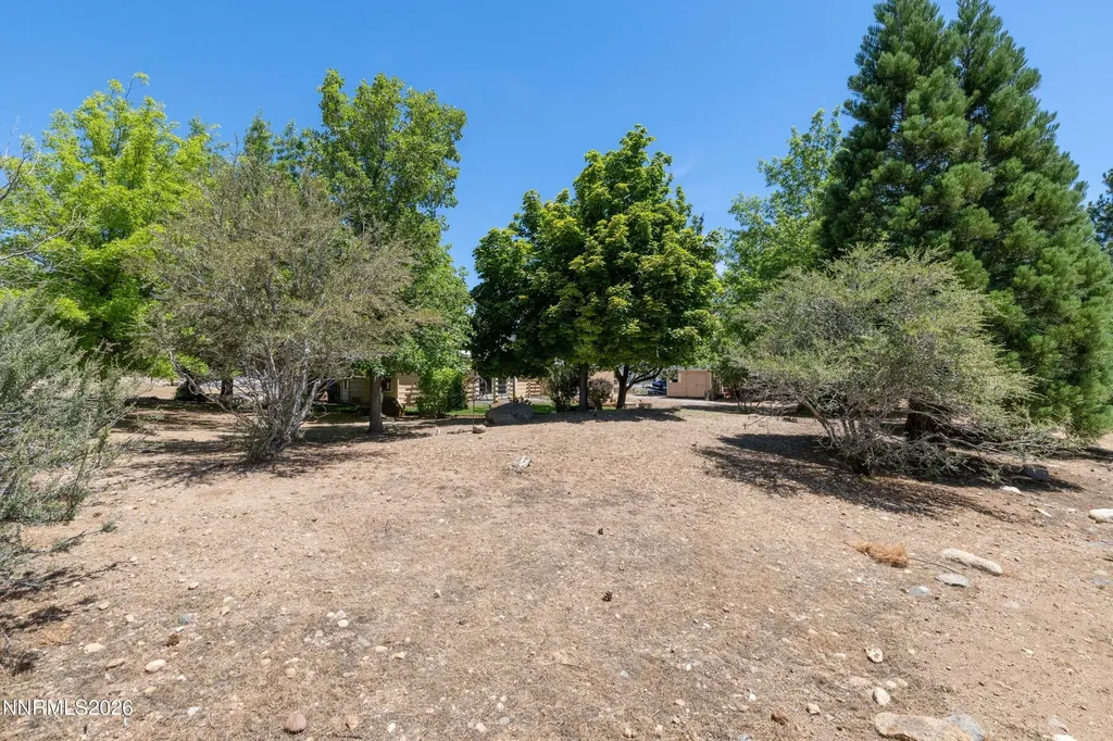 960 Buckbrush Verdi NV 89439