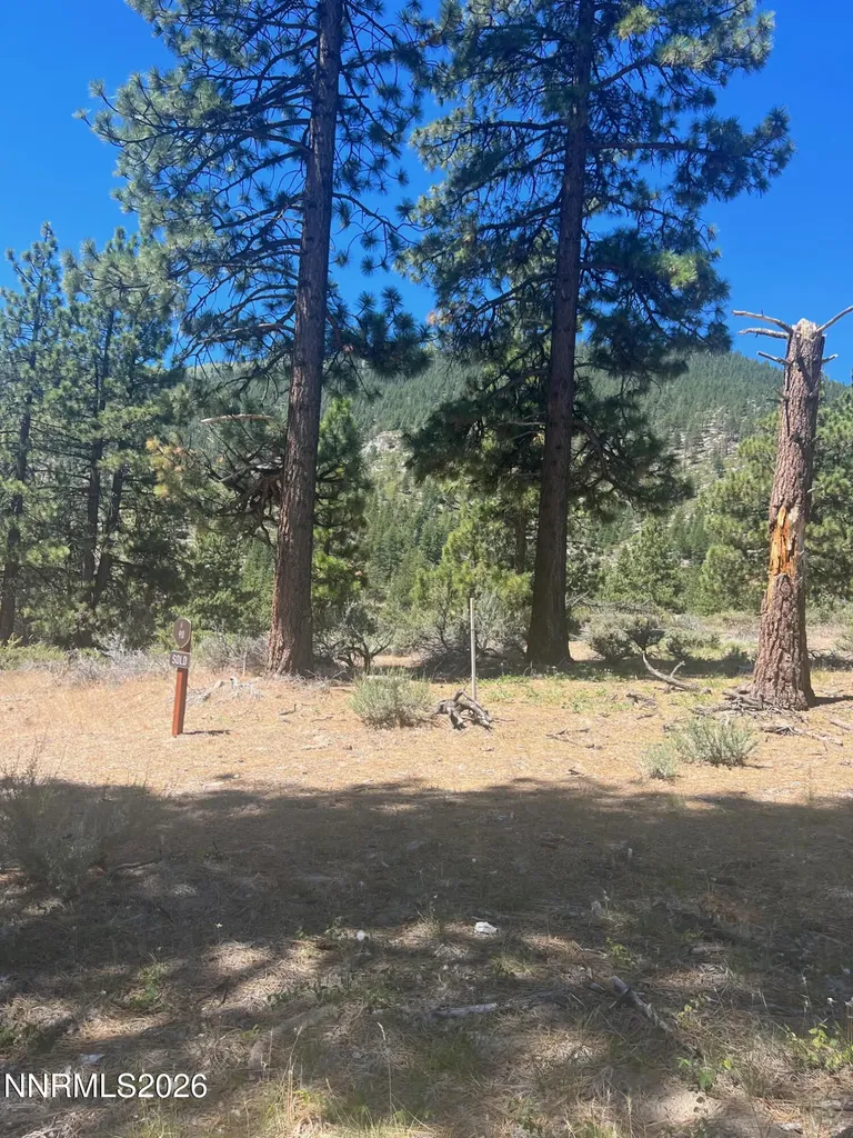3559 Knob Point Carson City NV 89705