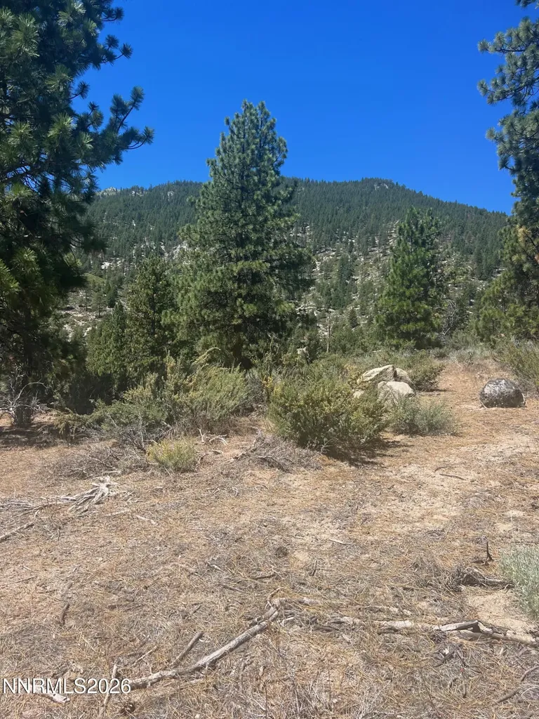 3559 Knob Point Carson City NV 89705