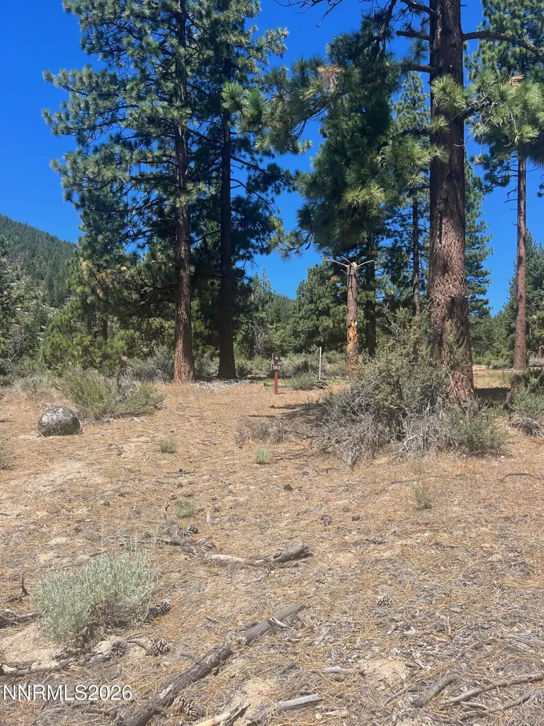 3559 Knob Point Carson City NV 89705