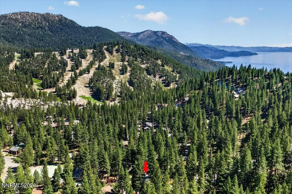 1367 Carinthia Incline Village NV 89451