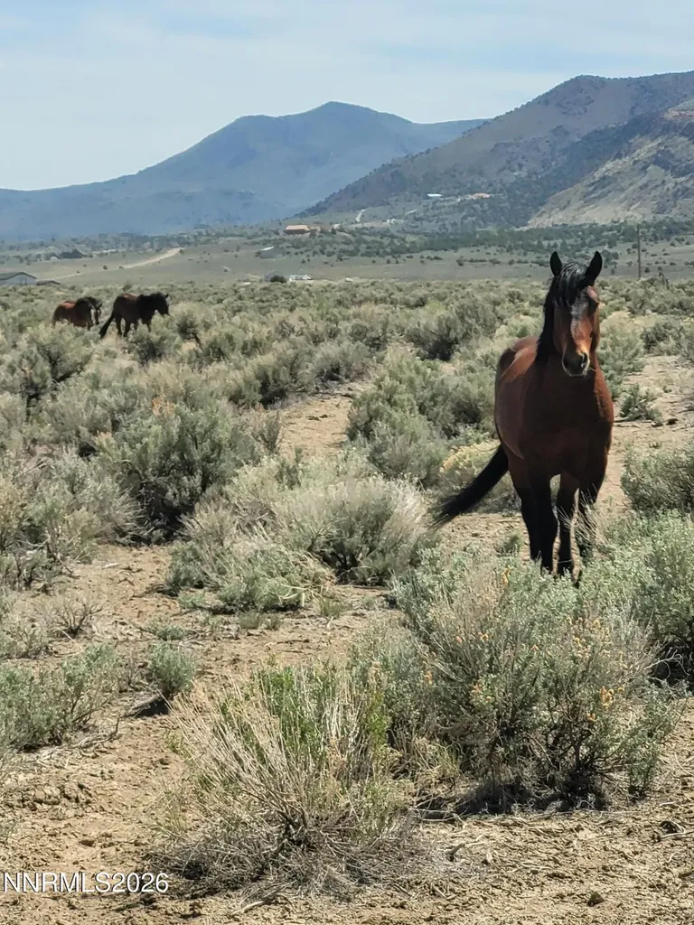 800 Hidden Canyon Reno NV 89510