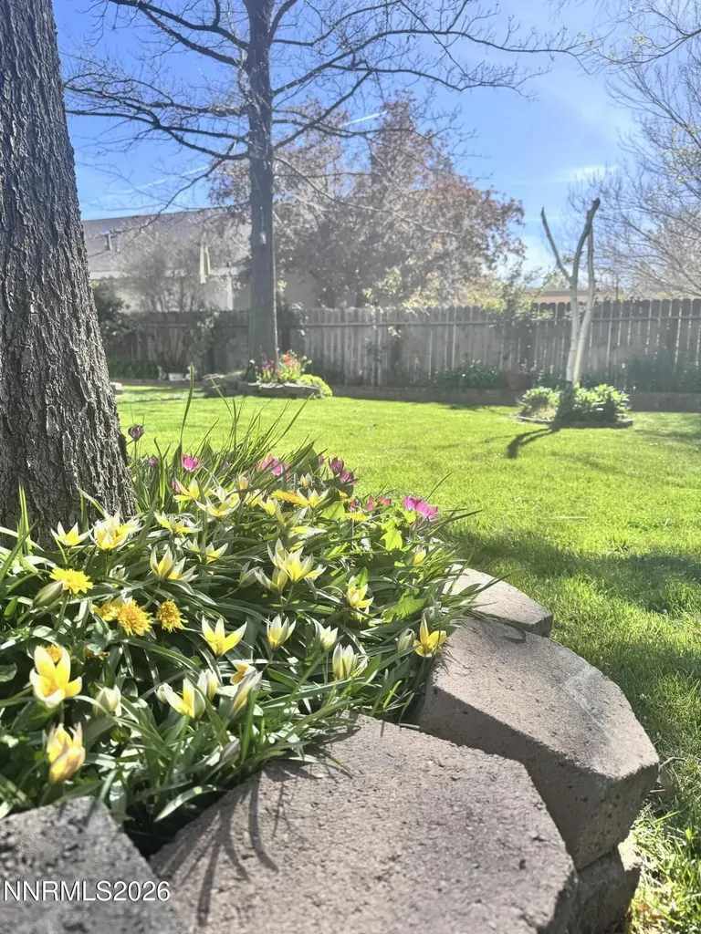 1492 Mary Jo Gardnerville NV 89460