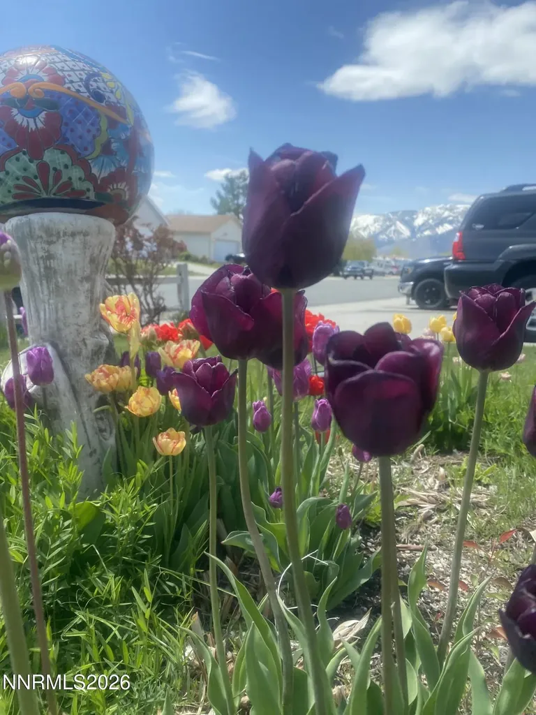 1492 Mary Jo Gardnerville NV 89460
