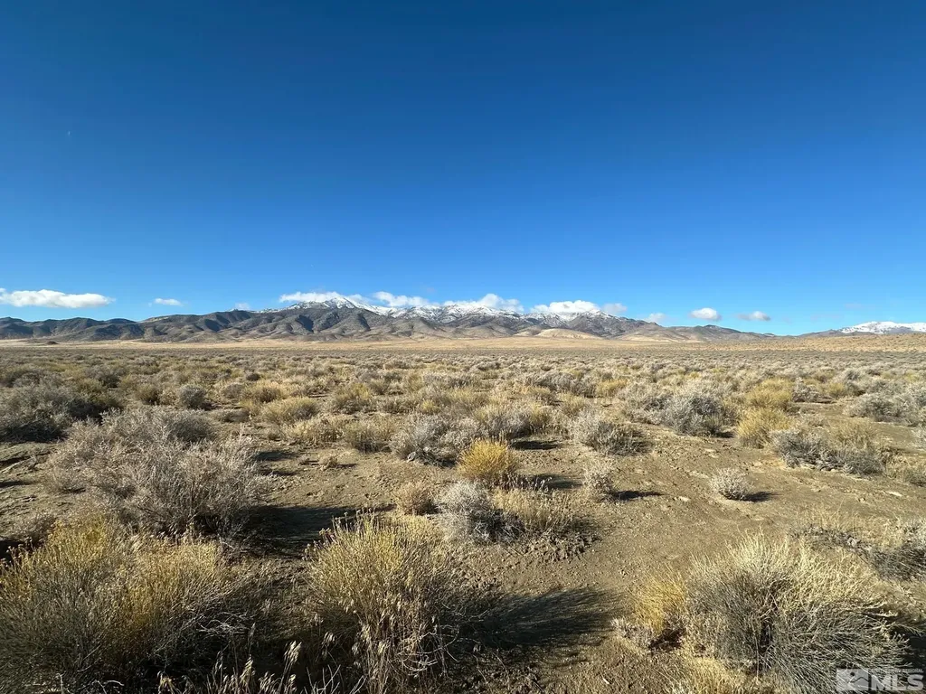 T27 Sec 3 Lovelock NV 89419