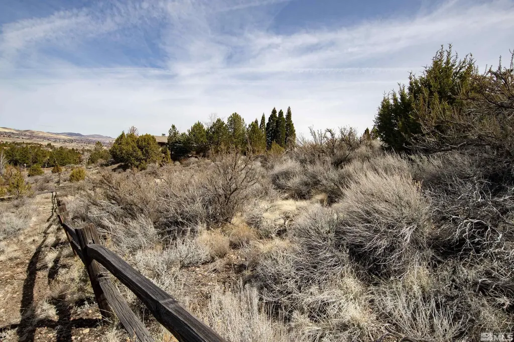 40 Greybull Reno NV 89519