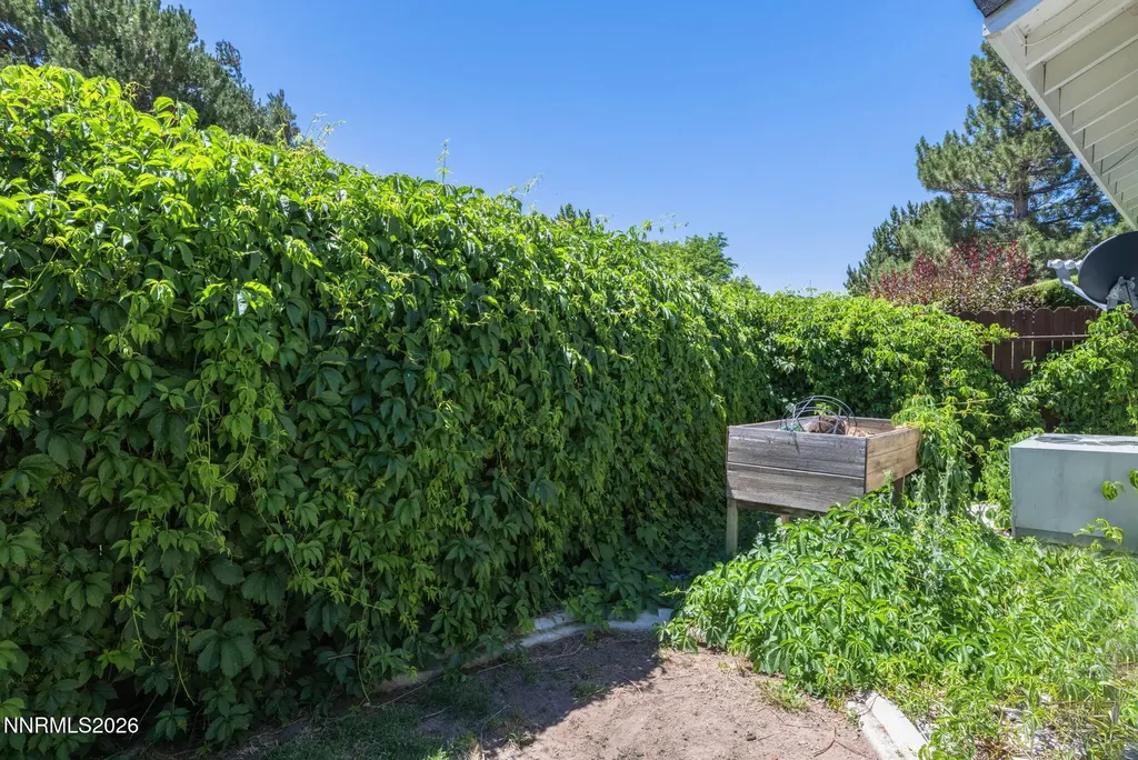 1721 Lantana Minden NV 89423