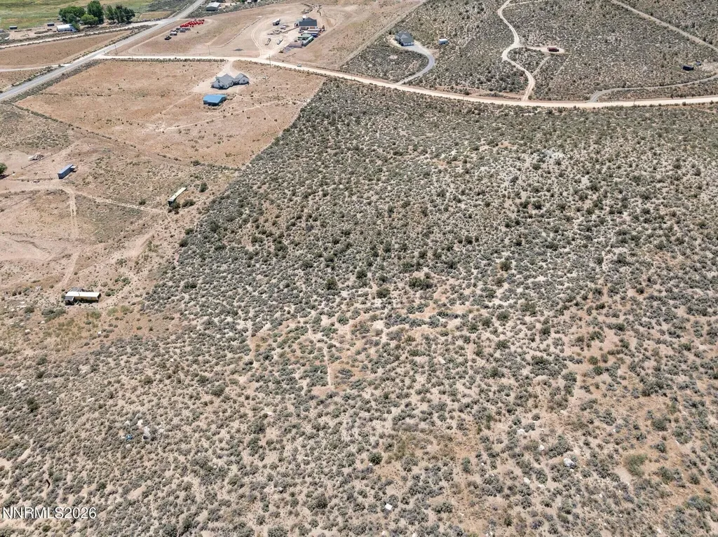 50 Arabian Reno NV 89508