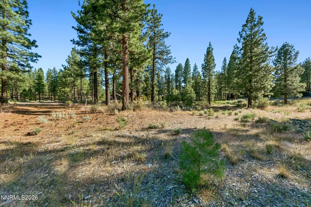 238 Redding Carson City NV 89705