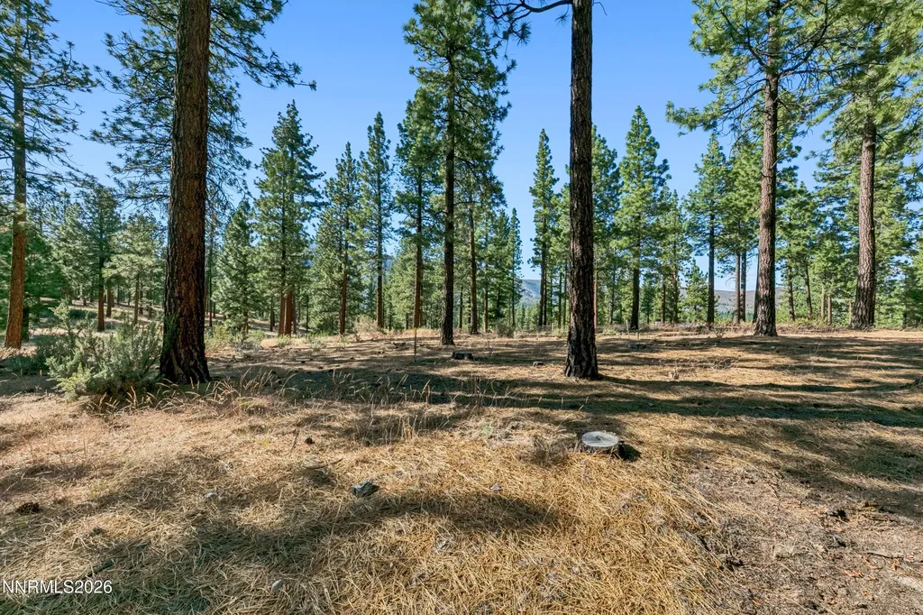 238 Redding Carson City NV 89705