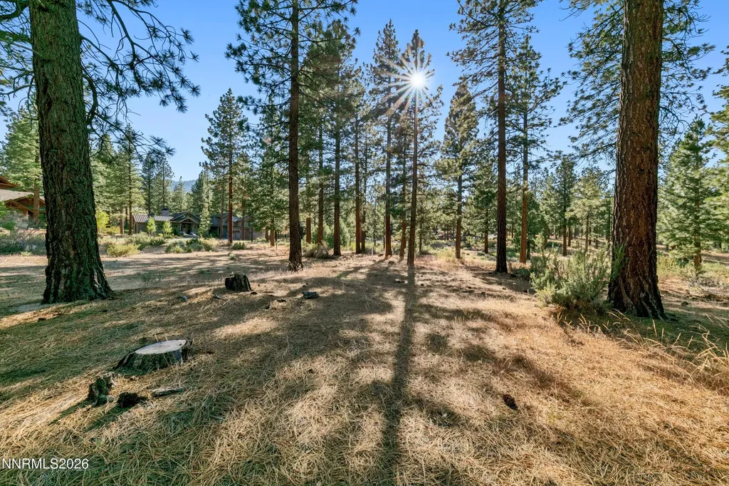 238 Redding Carson City NV 89705