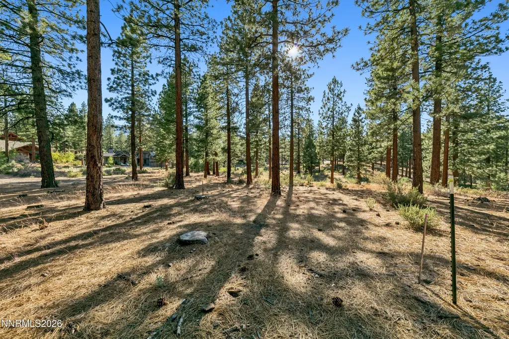 238 Redding Carson City NV 89705