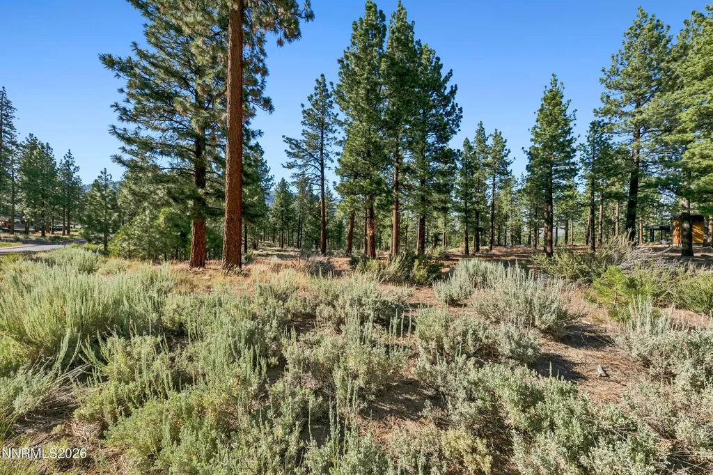 238 Redding Carson City NV 89705