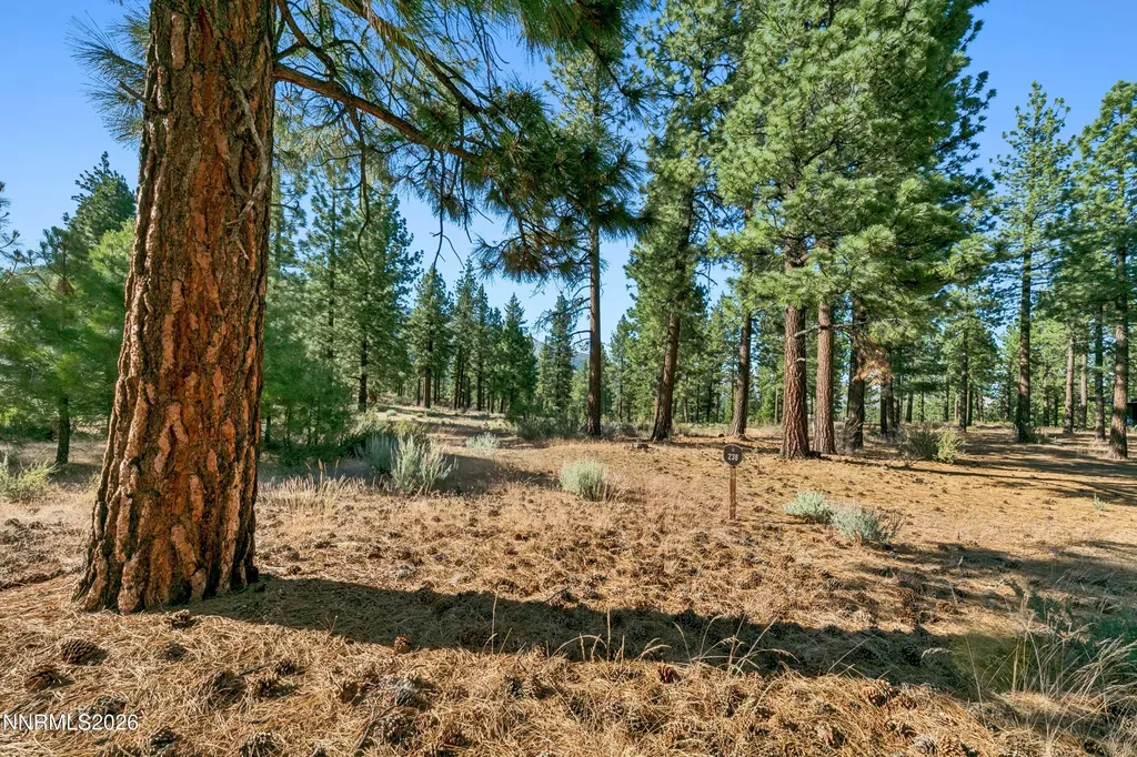 238 Redding Carson City NV 89705