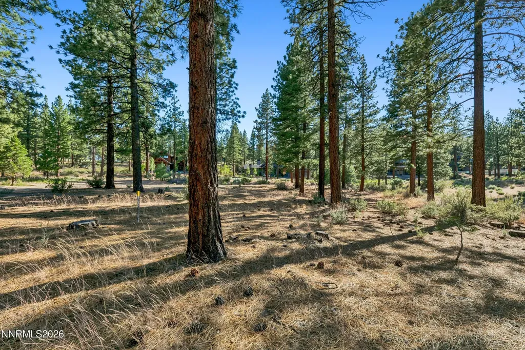 238 Redding Carson City NV 89705