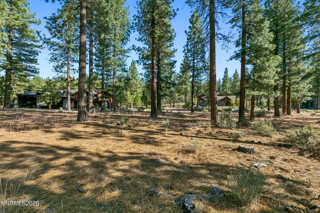 238 Redding Carson City NV 89705
