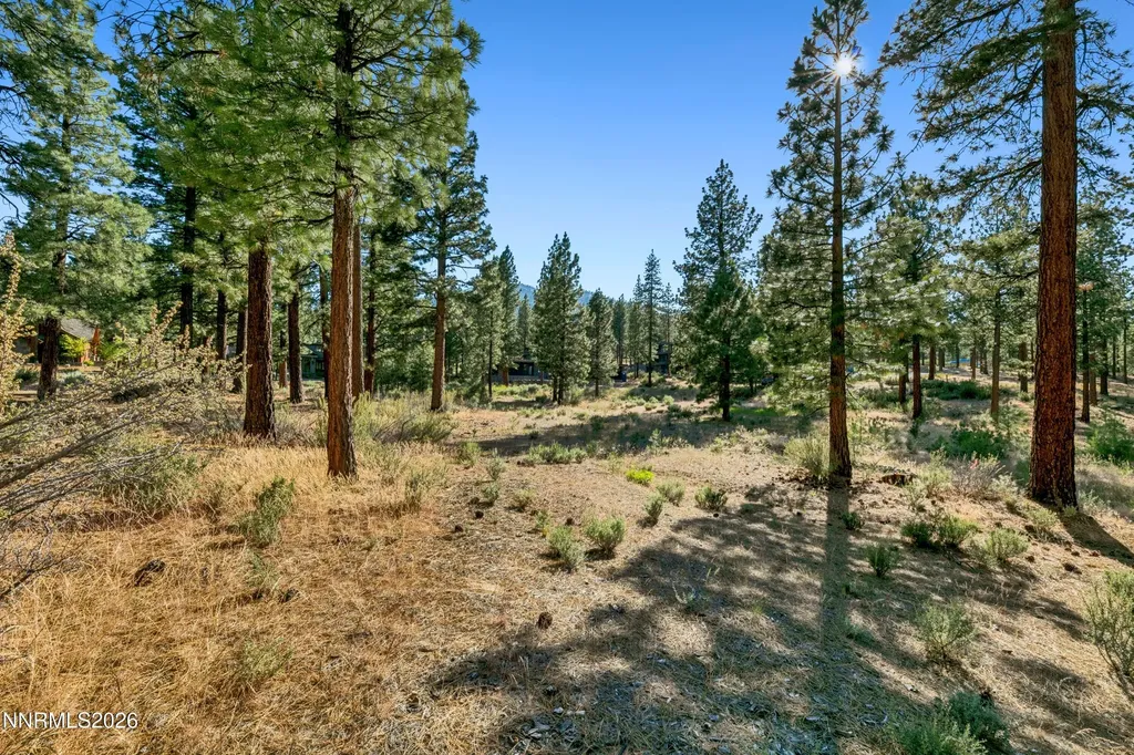 238 Redding Carson City NV 89705
