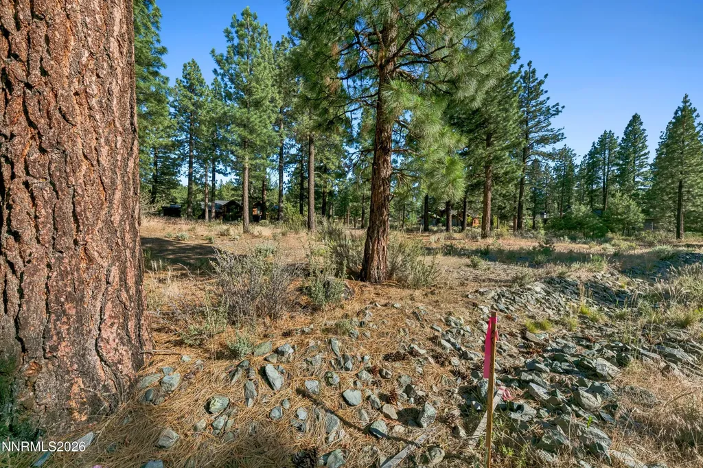 238 Redding Carson City NV 89705