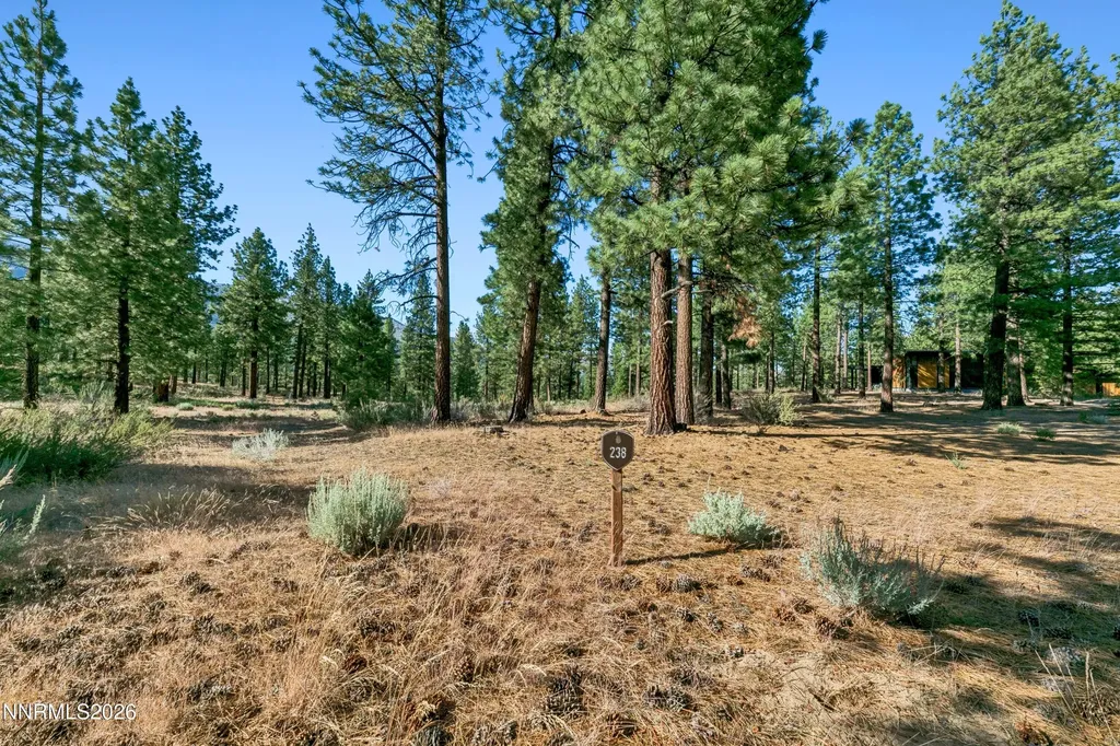 238 Redding Carson City NV 89705